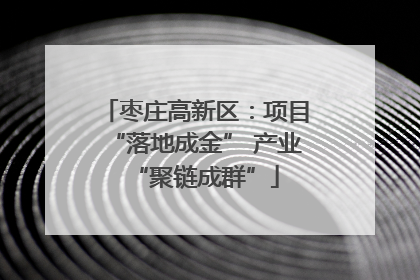 枣庄高新区：项目“落地成金” 产业“聚链成群”