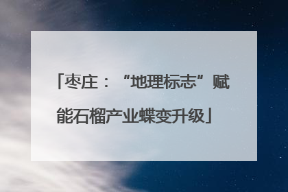 枣庄：“地理标志”赋能石榴产业蝶变升级