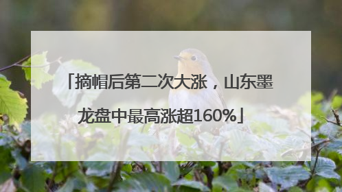 摘帽后第二次大涨，山东墨龙盘中最高涨超160%