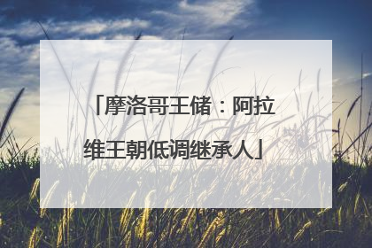 摩洛哥王储：阿拉维王朝低调继承人