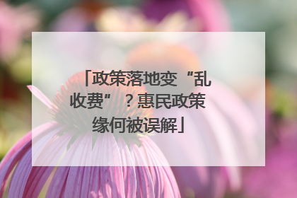 政策落地变“乱收费”？惠民政策缘何被误解