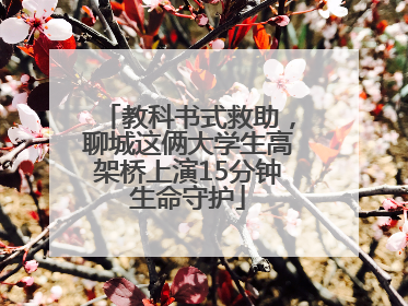 教科书式救助，聊城这俩大学生高架桥上演15分钟生命守护