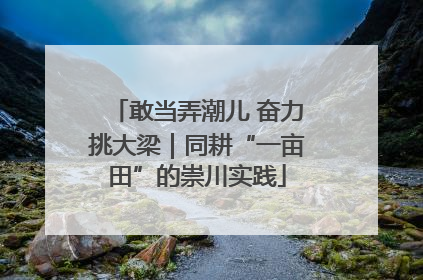 敢当弄潮儿 奋力挑大梁｜同耕“一亩田”的崇川实践