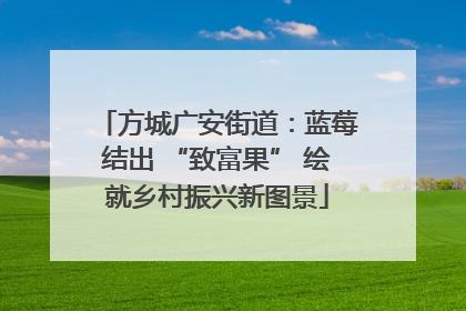 方城广安街道：蓝莓结出 “致富果” 绘就乡村振兴新图景
