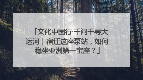 文化中国行·千问千寻大运河｜宿迁这座泵站，如何稳坐亚洲第一宝座？