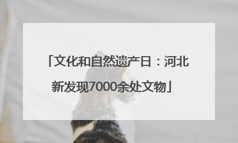 文化和自然遗产日：河北新发现7000余处文物