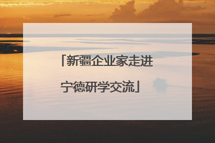 新疆企业家走进宁德研学交流