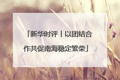 新华时评丨以团结合作共促南海稳定繁荣