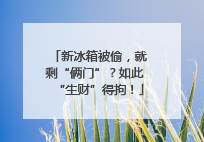 新冰箱被偷，就剩“俩门”？如此“生财”得拘！