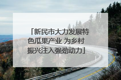 新民市大力发展特色瓜果产业 为乡村振兴注入强劲动力
