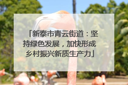 新泰市青云街道：坚持绿色发展，加快形成乡村振兴新质生产力