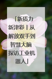 新质力 新津彩丨从解放双手到智慧大脑 探访工业机器人