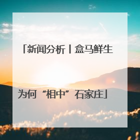 新闻分析丨盒马鲜生为何“相中”石家庄