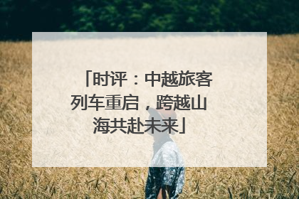 时评：中越旅客列车重启，跨越山海共赴未来