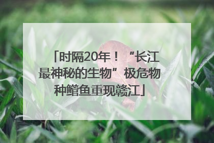 时隔20年！“长江最神秘的生物”极危物种鳤鱼重现赣江