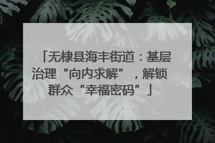 无棣县海丰街道：基层治理“向内求解”，解锁群众“幸福密码”