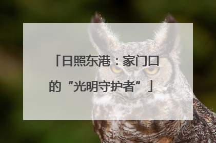 日照东港：家门口的“光明守护者”