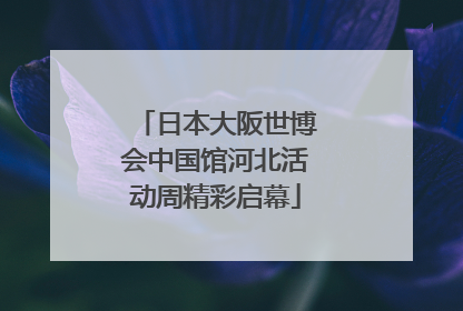 日本大阪世博会中国馆河北活动周精彩启幕