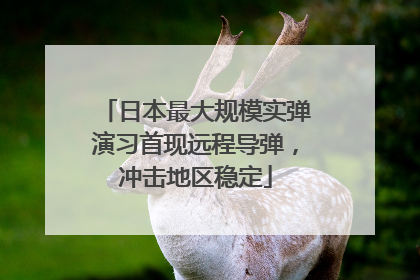 日本最大规模实弹演习首现远程导弹，冲击地区稳定