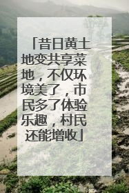 昔日黄土地变共享菜地，不仅环境美了，市民多了体验乐趣，村民还能增收