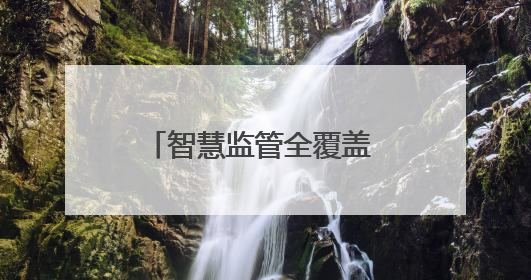 智慧监管全覆盖 阳新县225家集中用餐单位实现“云上明厨亮灶”