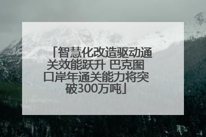 智慧化改造驱动通关效能跃升 巴克图口岸年通关能力将突破300万吨