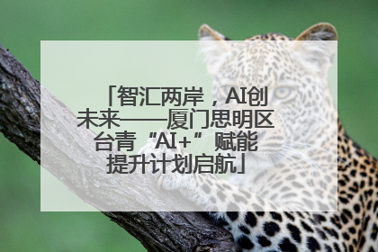 智汇两岸，AI创未来——厦门思明区台青“AI+”赋能提升计划启航