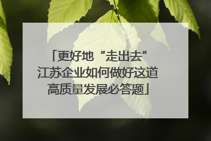 更好地“走出去” 江苏企业如何做好这道高质量发展必答题