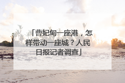 曹妃甸一座港，怎样带动一座城？人民日报记者调查