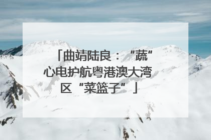 曲靖陆良：“蔬”心电护航粤港澳大湾区“菜篮子”