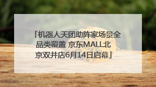 机器人天团助阵家场景全品类覆盖 京东MALL北京双井店6月14日启幕