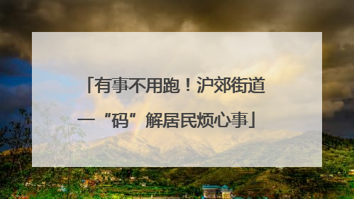有事不用跑！沪郊街道一“码”解居民烦心事