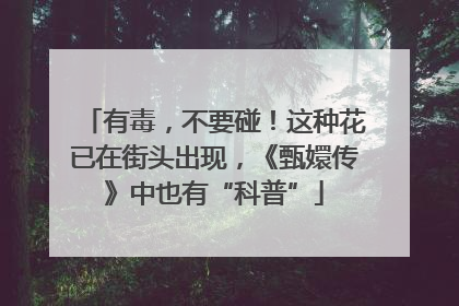 有毒，不要碰！这种花已在街头出现，《甄嬛传》中也有“科普”