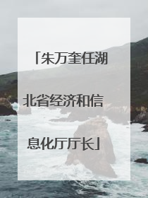 朱万奎任湖北省经济和信息化厅厅长
