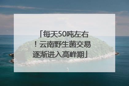 每天50吨左右！云南野生菌交易逐渐进入高峰期