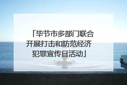 毕节市多部门联合开展打击和防范经济犯罪宣传日活动