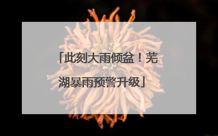 此刻大雨倾盆！芜湖暴雨预警升级