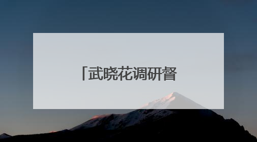 武晓花调研督导群众身边不正之风和腐败问题集中整治工作