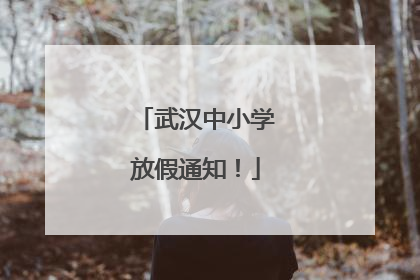 武汉中小学放假通知！