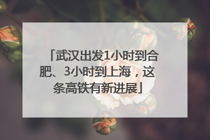 武汉出发1小时到合肥、3小时到上海，这条高铁有新进展