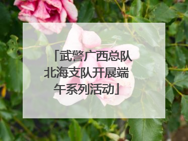 武警广西总队北海支队开展端午系列活动
