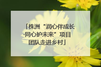 株洲“润心伴成长·同心护未来”项目团队走进乡村