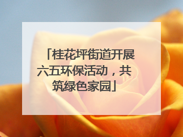 桂花坪街道开展六五环保活动，共筑绿色家园