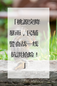 桃源突降暴雨，民辅警奋战一线抗洪抢险！
