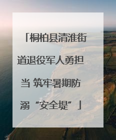 桐柏县清淮街道退役军人勇担当 筑牢暑期防溺“安全堤”