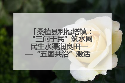 桑植县利福塔镇：“三问于民”筑水网 民生水渠润良田——“五图共治”激活基层治理新动能