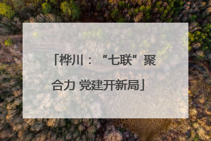 桦川：“七联”聚合力 党建开新局
