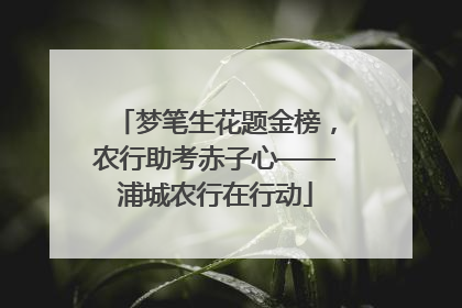 梦笔生花题金榜，农行助考赤子心——浦城农行在行动