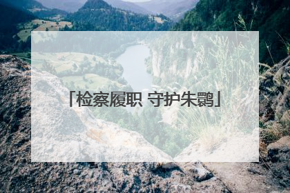 检察履职 守护朱鹮