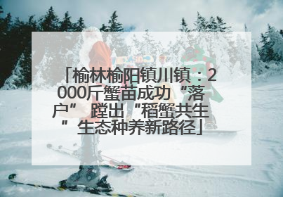 榆林榆阳镇川镇：2000斤蟹苗成功“落户” 蹚出“稻蟹共生”生态种养新路径